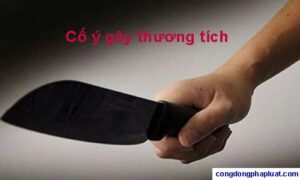 luat su hinh su tu van toi vu khong