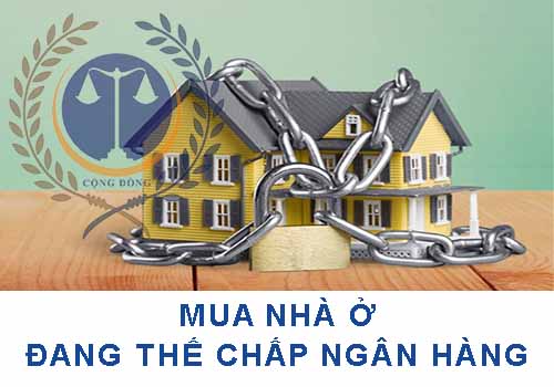 MUA-NHA-DANG-THE-CHAP-NGAN-HANG